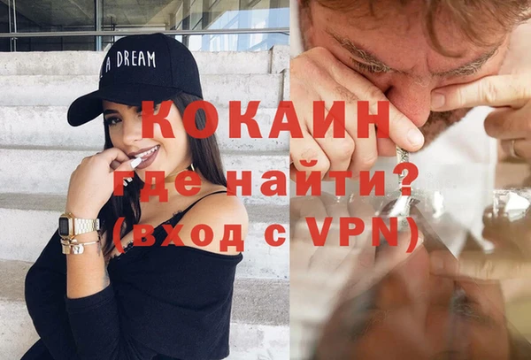 крисы Баксан