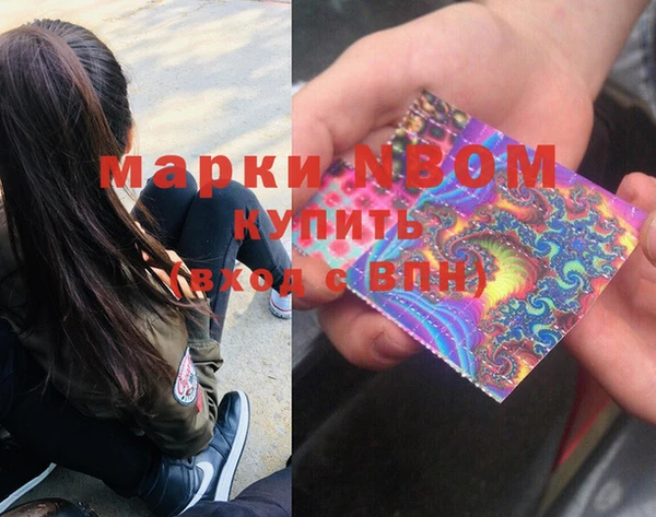 крисы Баксан