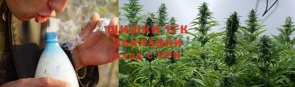 крисы Баксан